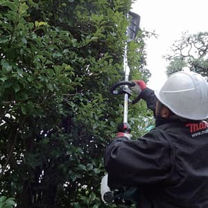 Makita 730 mm (28-3/4") MM4 Pole Hedge Trimmer, EN7350SH