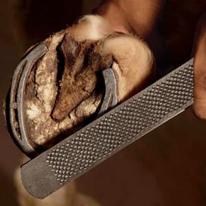 JK 300 mm / 12 inch Horse Shoe Rasp With Tang