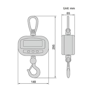 Insize 300 kg Electronic Crane Scales (Economic Type), 8202-300KG
