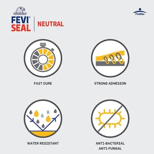 Feviseal Neutral Pro 280 ml Silicone Sealant (Pack of 24 Pcs)